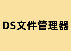 DS文件管理器是做什么的？