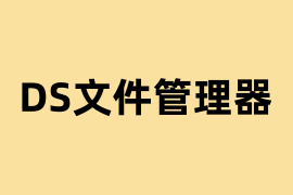 DS文件管理器是做什么的？