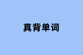 真背单词可以使用吗？
