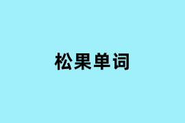 松果单词可以用吗？