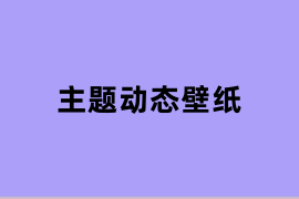 主题动态壁纸是怎么样的？