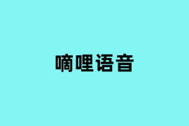嘀哩语音如何使用？