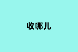 收哪儿.png