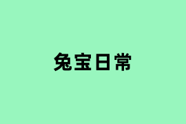 兔宝日常.png